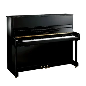 TransAcoustic Piano